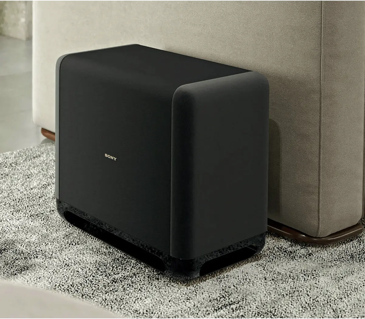 Sony SA-SW5 Wireless Subwoofer