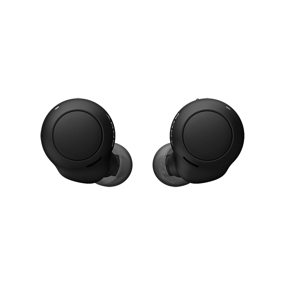 Sony WF-C500 Truly Wireless In-Ear Headphones