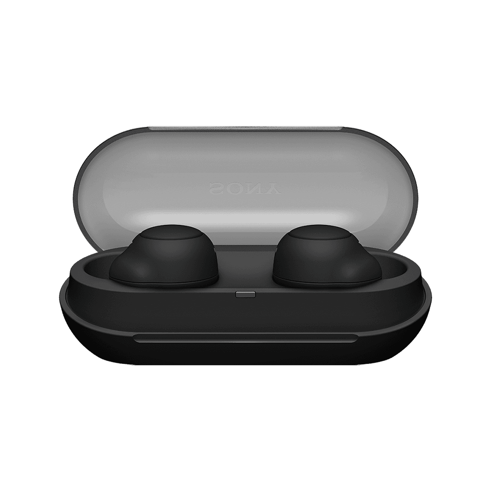 Sony WF-C500 Truly Wireless In-Ear Headphones