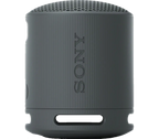 Sony SRS-XB100 Portable Bluetooth Speaker