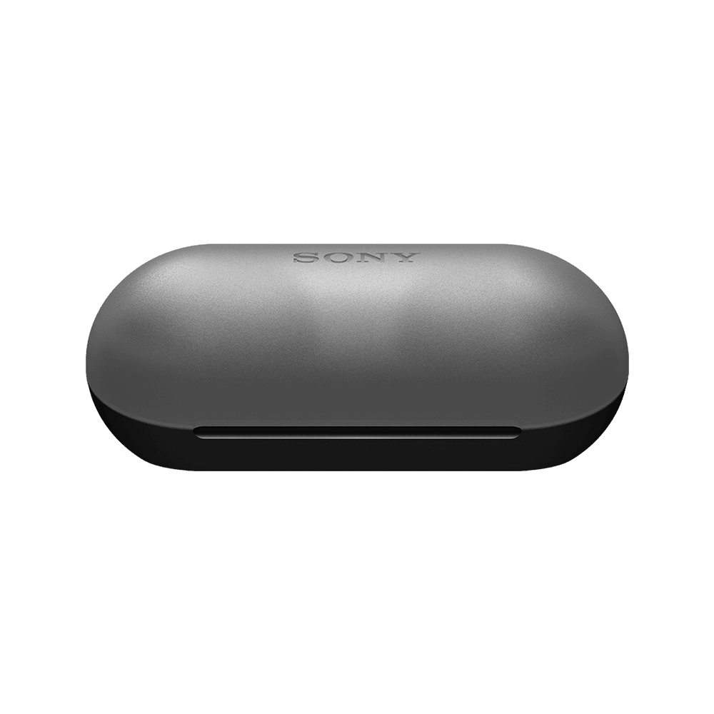 Sony WF-C500 Truly Wireless In-Ear Headphones
