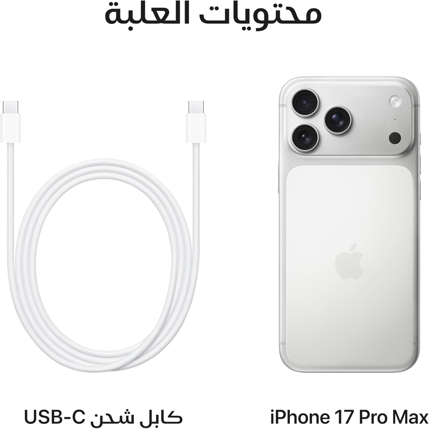 Apple iPhone 17 Pro Max (256 GB) - Silver with Face ID | Tax Paid | 2 Years Official Warranty