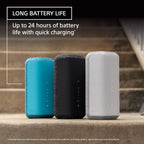 Sony SRS-XE300 Portable Bluetooth Speaker