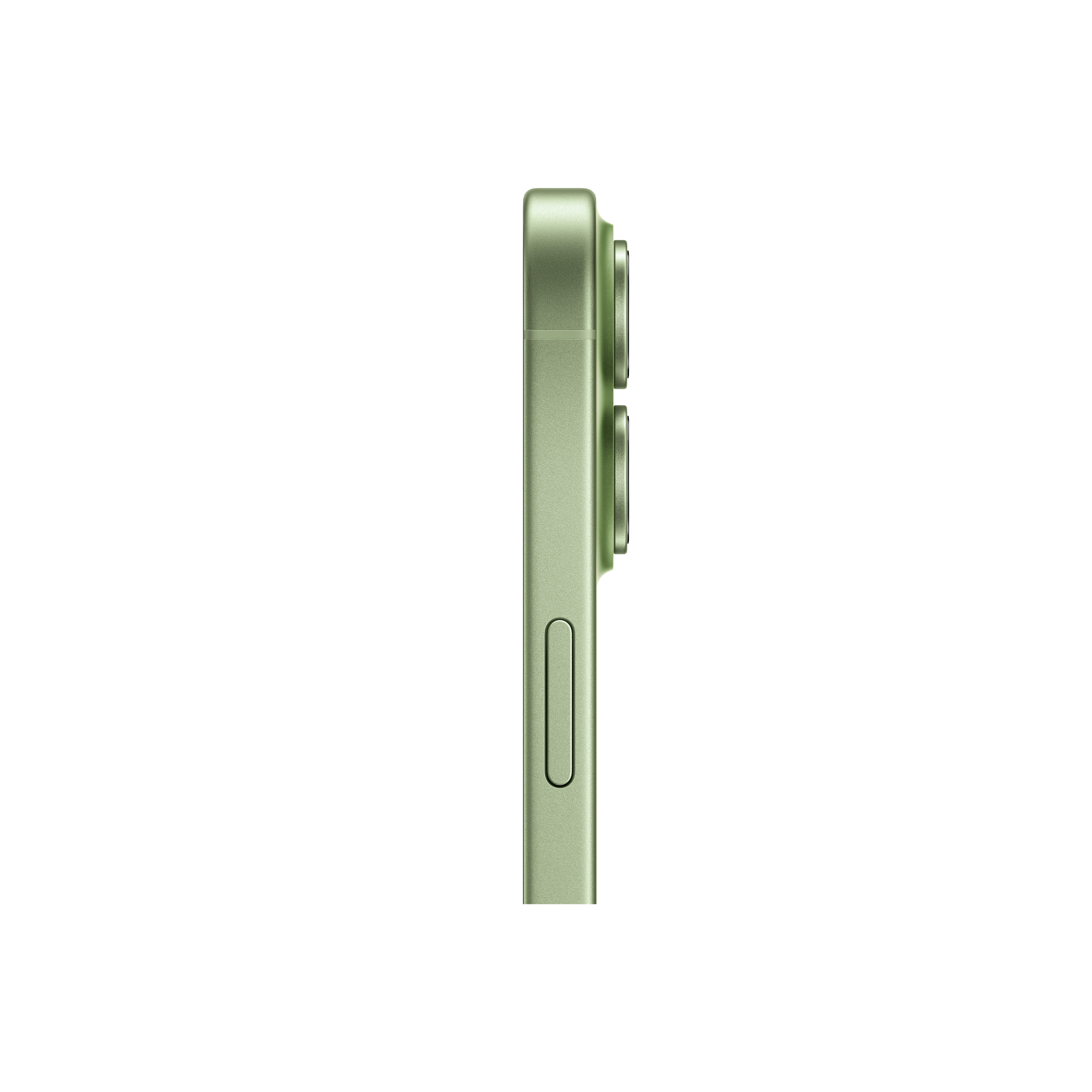 Apple iPhone 17 (256 GB) - Sage with Face ID | Tax Paid | 2 Years Official Warranty
