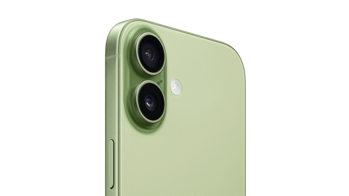 Apple iPhone 17 (256 GB) - Sage with Face ID | Tax Paid | 2 Years Official Warranty
