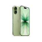 Apple iPhone 17 (256 GB) - Sage with Face ID | Tax Paid | 2 Years Official Warranty