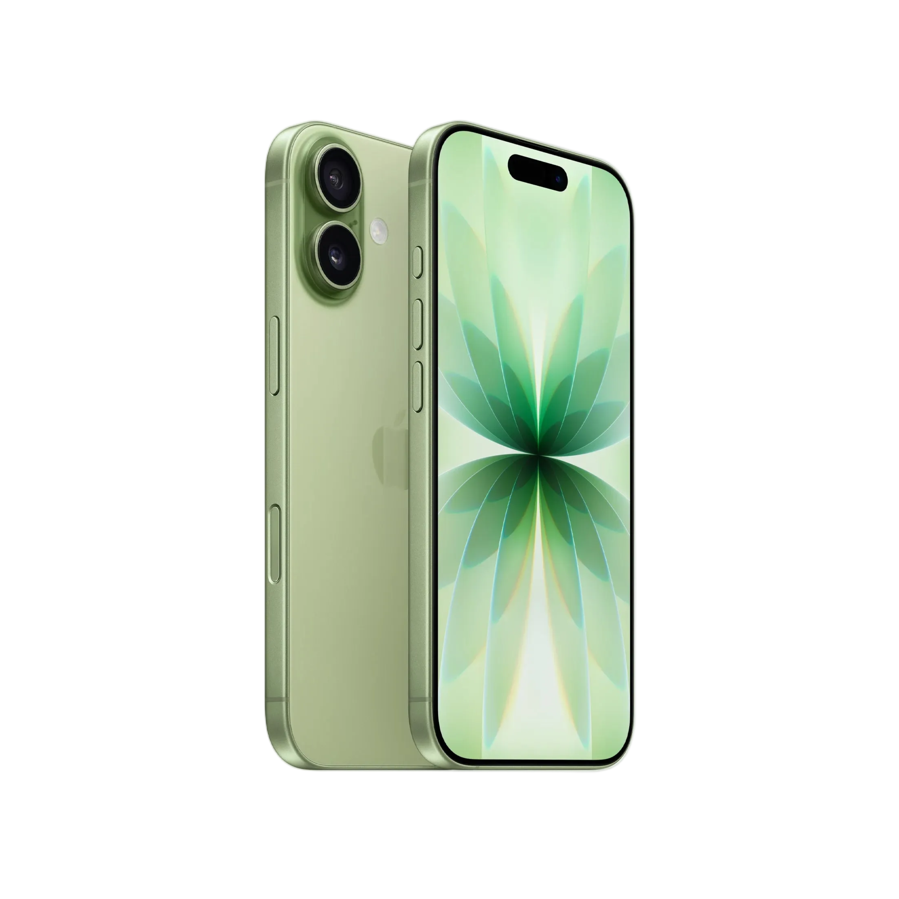 Apple iPhone 17 (256 GB) - Sage with Face ID | Tax Paid | 2 Years Official Warranty