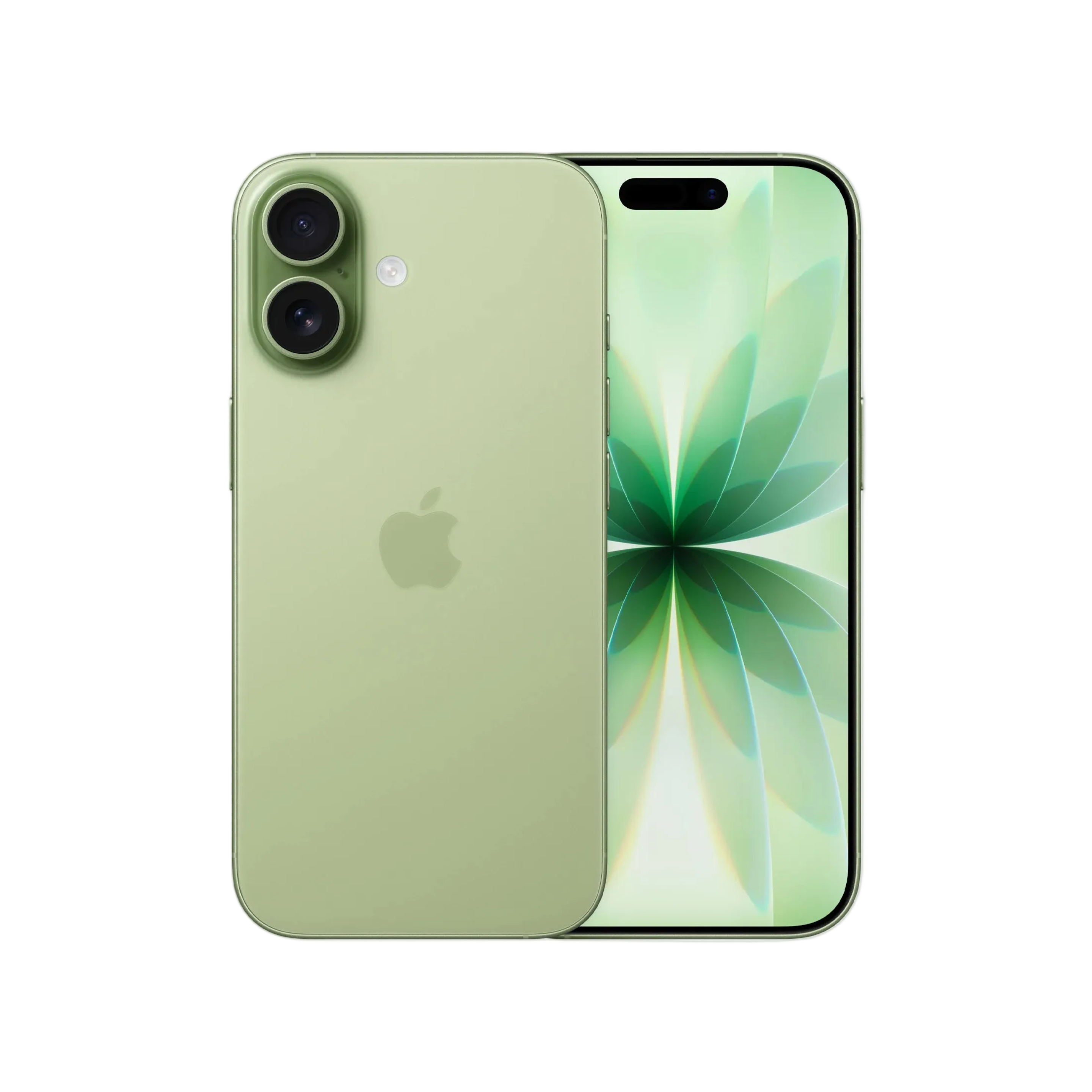 Apple iPhone 17 (256 GB) - Sage with Face ID | Tax Paid | 2 Years Official Warranty